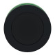 FLUSH MOUNTED BLACK FL CAPS PUSHBUTTO alt_view_3