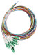 FO Pigtail LC/APC, 9/125æm OS2, 2.0m, Easy Strip, 12pcs, HLP09M122P Schrack Technik main
