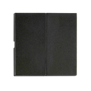 Rocker S 55 2-gang, black, EV132302 Schrack Technik