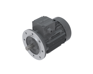 Elektromotors 370W, 2P, 2790 rpm, kurpuss 071, flancis - B5, 5,5Kg, 2EL071M2AFAA0000 ELK Motor main
