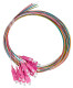 FO Pigtail SC, 50/125æm OM4, 2.0m, Easy Strip, 12pcs, HLP04C122P Schrack Technik main