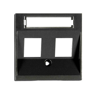 Cover for 2*RJ45 Toolless Line jacks, black, EV134304 Schrack Technik
