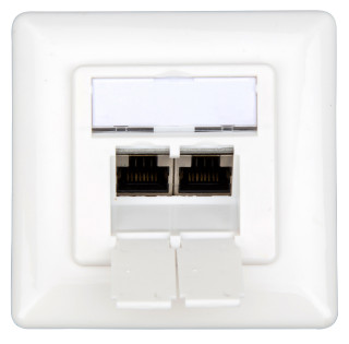 Data Outlet 2xRJ45 shielded 10GB Class Ea, UAE 80x80mm, HSEDG2UW6R Schrack Technik