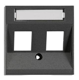 Cover for 2*RJ45 Toolless Line jacks, anthracite, EV114304 Schrack Technik