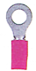 GI5587502