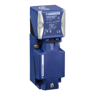 Индуктивный датчик приближения XS9 40x40x117, PBT, Sn25 mm, 12...24 VDC, terminals, XS9C4A2A2G13