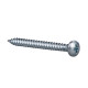 TGS 4.2X45 100 UNIVERS SCREW, 3709860 Schneider Electric main