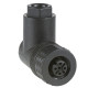 XZCC12FCP40B | M12 ANGLE CONNECT. 4 P main