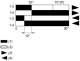 Limit switch, XCMD, thermoplastic roller lever, 1C/O, snap, M12, XCMD2115M12 alt_view_8
