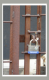 5EURD | Laminated Steel Padlock - Keyed Different alt_view_2