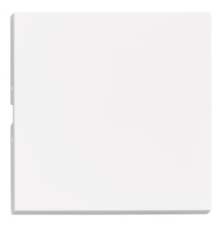Rocker S 55, white, EV102301 Schrack Technik
