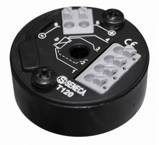 Pt100/Ni100 to 4-20mA out (non-Isolated), T120 Seneca