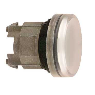 LED galva balta main