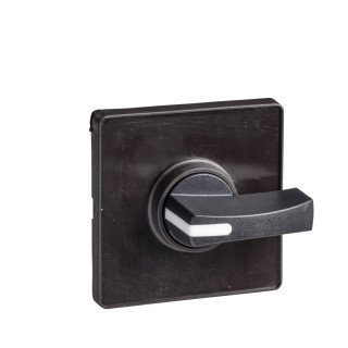 Cam switch operating head, Harmony K, 22mm, plastic, 60x60mm plate, metallic legend, black handle main