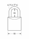 2950EURDLJ | Brass padlock - Hardened steel shackle - 6 pin cylinder - reversible key - Keyed Different alt_view_2
