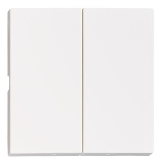 Rocker S 55 2-gang, white, EV102302 Schrack Technik