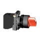 XB5AK124B5