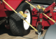 3058EURDAT | Ratchet tie downs with J-hooks - 4,5m - PVC grip on ratchet alt_view_2