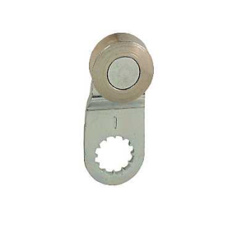 Limit switch lever, ZCY, steel roller, ZCY19