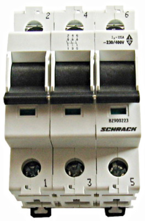 Main Load-Break Switch (Isolator) 40A/3P main