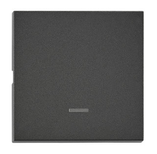 Rocker S 55 with tranparent control window, anthracite, EV112307 Schrack Technik
