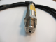 PCE-28.smart/0-25bar/0-6bar/PM12/G1/2" spiediena devējs AP-01025 Aplisens alt_view_2