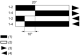 Limit switch, XCMD, cat's whisker, 1C/O, snap, M12, XCMD2106M12 alt_view_7