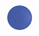 Button plate, flush, blue main