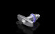 Toggle handle with safety cylinder insert, stainless steel, 4000067 Rittal main