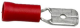 GI5587555