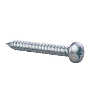 Thorsman - TGS 4.2x38 - screw - panhead - set of 100