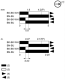 Limit switch, XCMD, M16 booted nitrile end plunger, 1NC+1 NO, snap, 1 m, XCMD21G1L1 alt_view_8