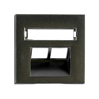 Cover for RJ45 UAE outlet, labelling window, 2-Port, black, EV134312 Schrack Technik