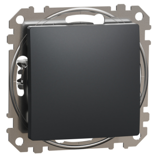 Switch, Sedna Design & Elements, 2-way, 10AX, PRO, anthracite main