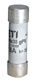 ISV10016