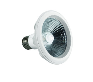 LED lamp PAR30, 10W,E27,4000K