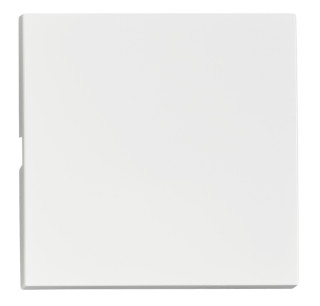 Rocker S 50, white, EV102201 Schrack Technik