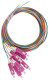 FO Pigtail SC, 50/125æm OM4, 2.0m, Easy Strip, 8pcs, HLP04C082P Schrack Technik main