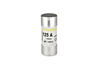 Cylindrical fuse link 22x58, 125A, characteristic gG, 400VAC