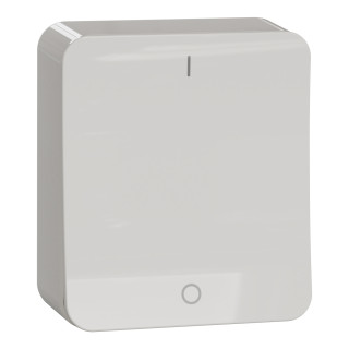 Switch, Exxact Surface, complete product, 2-pole 1-way, 16AX, screwless terminals, white