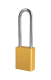 A1167YLW