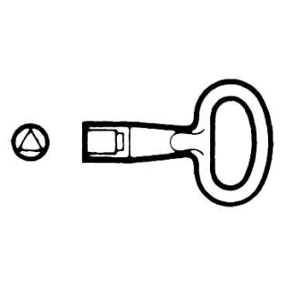 8mm triangle insert WM clos main
