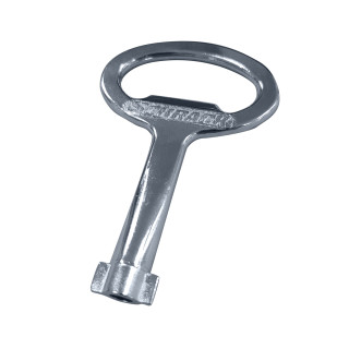 Key for 5 mm double-bit insert