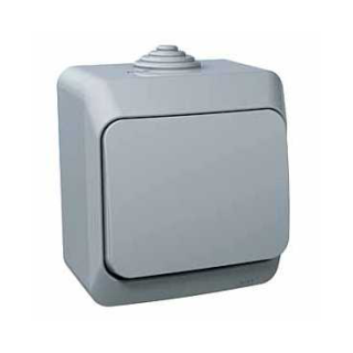 Cedar Plus - 1pole 2way switch - 16AX, grey main