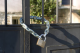 2960EURD | Brass padlock - Hardened steel shackle - 6 pin cylinder - reversible key - Keyed Different alt_view_3