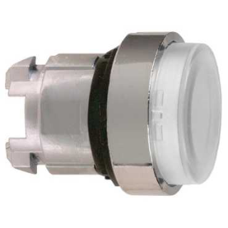 ZB4BW17 | ILLUMINATED PUSHBUTTON