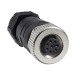 ConM12 Fem Straight 8P rew terminals main