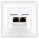 Data Outlet 2xRJ45 shielded Cat.6, UAE, 80x80mm, RAL9010 main