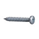 Thorsman - TGS 4.2x32 - screw - panhead - set of 100 main